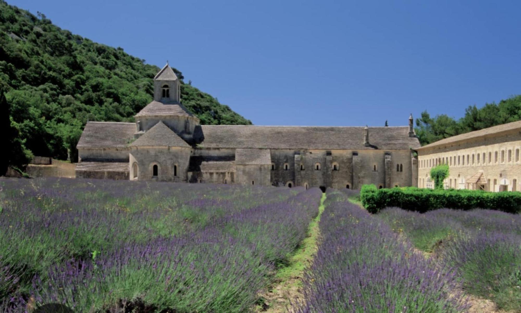Borie En Provence Guest House Velleron Exterior photo